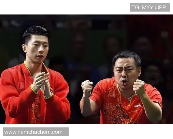 深圳乒乓球队在世界杯积分榜上以64分稳居第一名展现强大实力