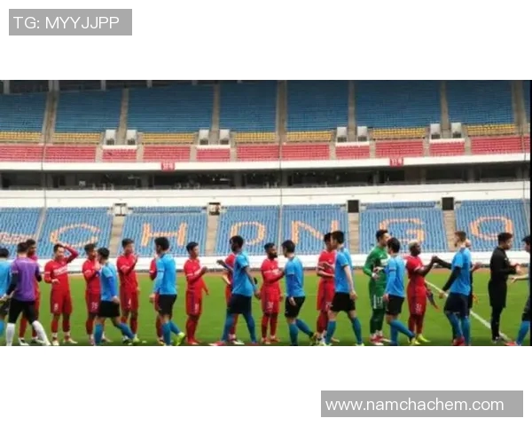 重庆网球队逆袭之路：重塑传统与创新并行的全新篇章