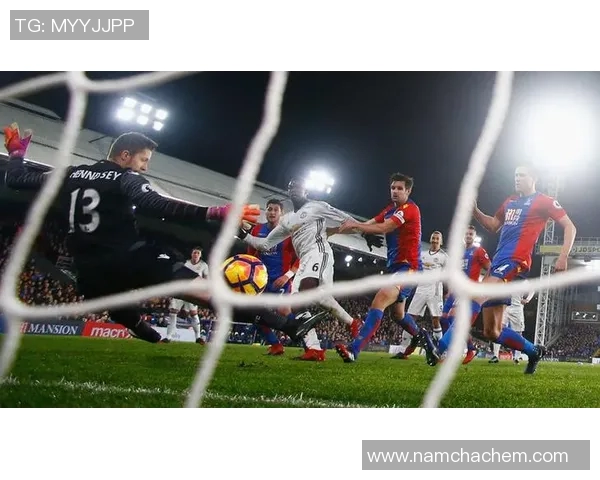 独家解析上海网球队比赛经验的差异与影响因素分析