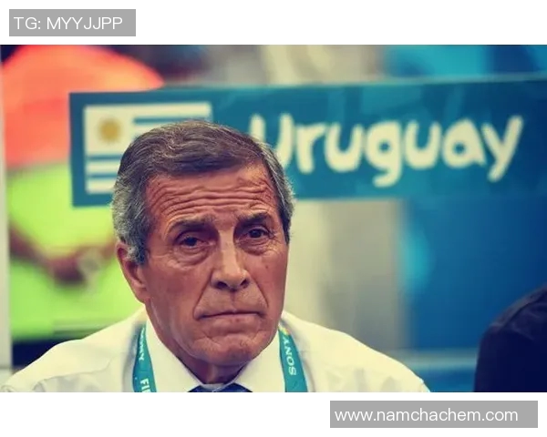 足球明星帅哥哥的魅力与成就揭秘让我们一起走进他们的精彩人生与职业生涯