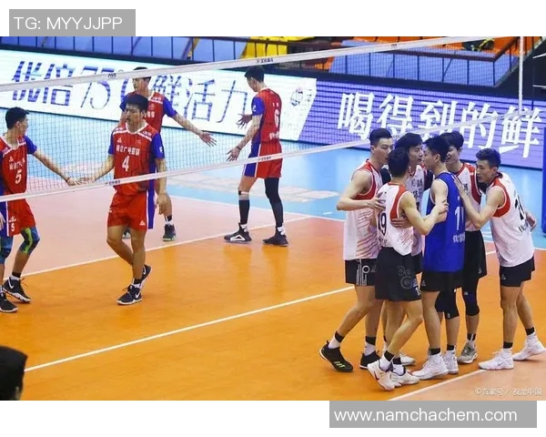 重庆排球队选拔赛精彩点评团队配合与战术执行的完美结合